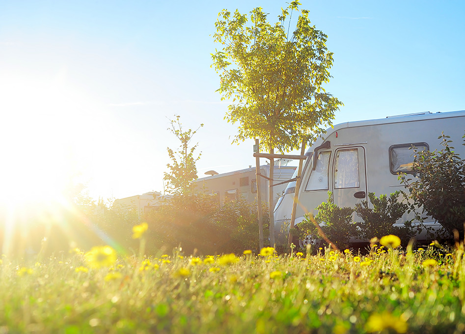 5-Guidelines-for-Picking-Your-RV-Camp-Sites-Rio-Bonito-RV-Resort-Park-Cabin-Liberty-Hill-Texas-Camping