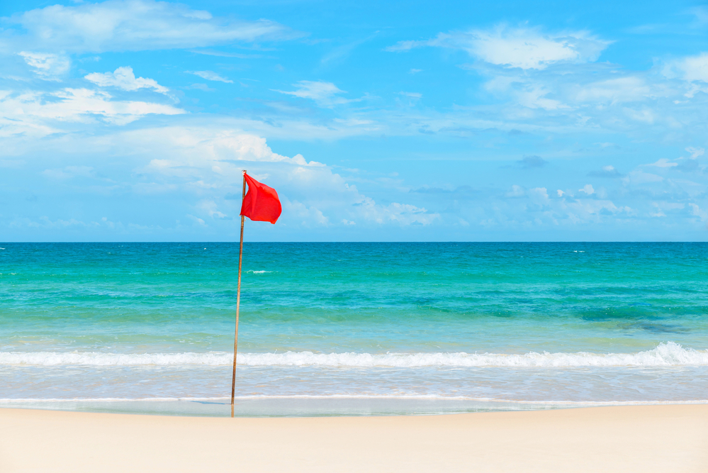 You can swim in the Gulf of Mexico if you mind the flags. 