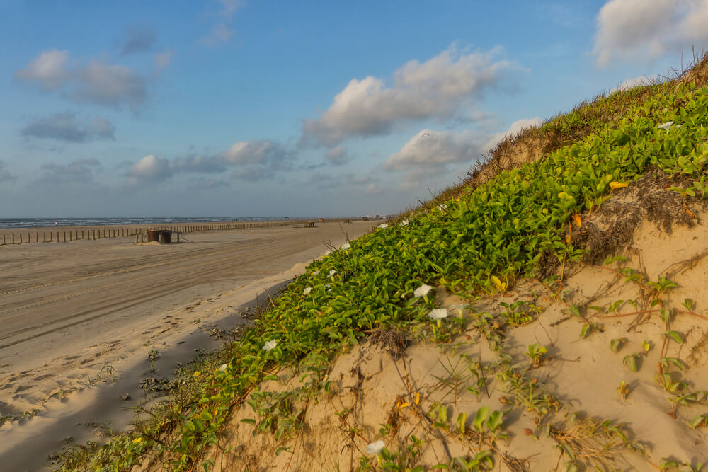 This guide can help you decide where to stay in port aransas