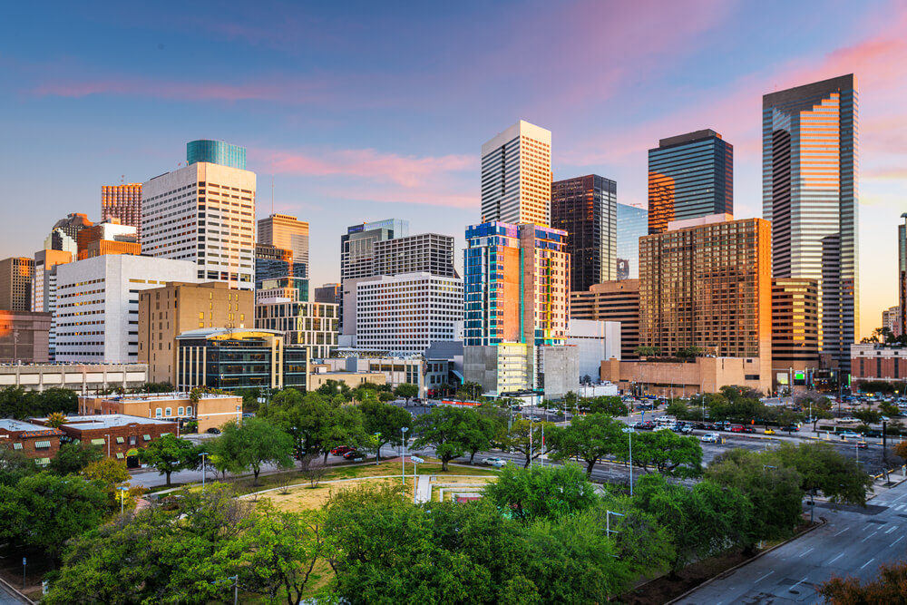 Houston is one of the major cities in the gulf coastal plains of texas.