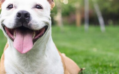 Beach Day, Gulf Style: Port Aransas Adventure