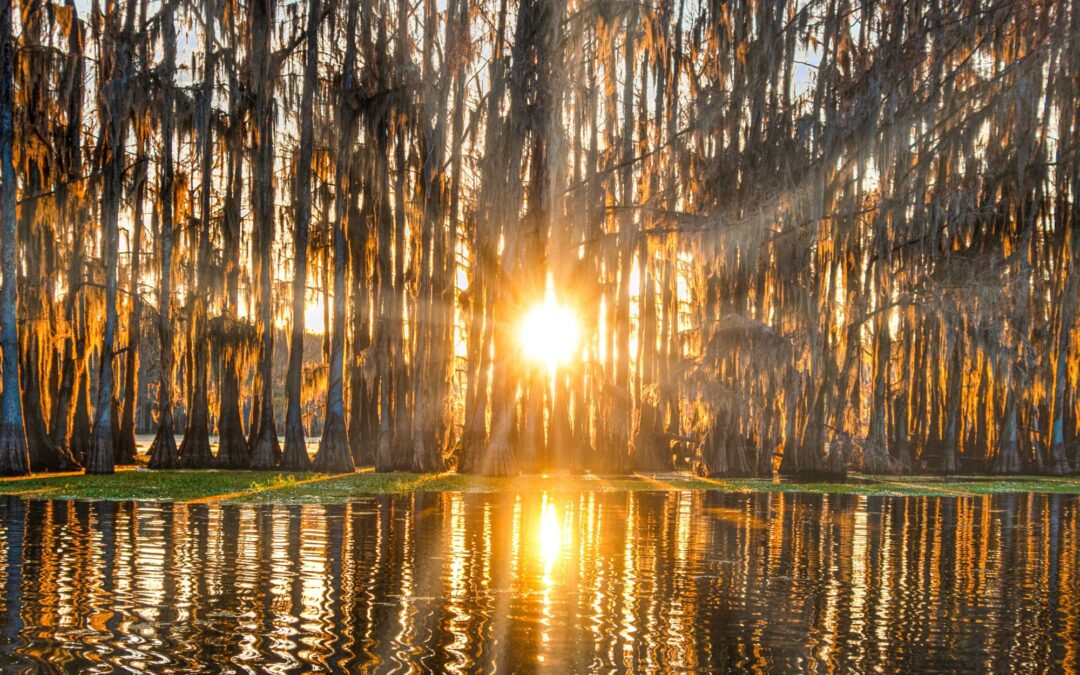 Fishing & Family Ties: Our Catch-and-Release Bonding Day