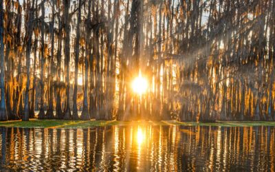 Fishing & Family Ties: Our Catch-and-Release Bonding Day
