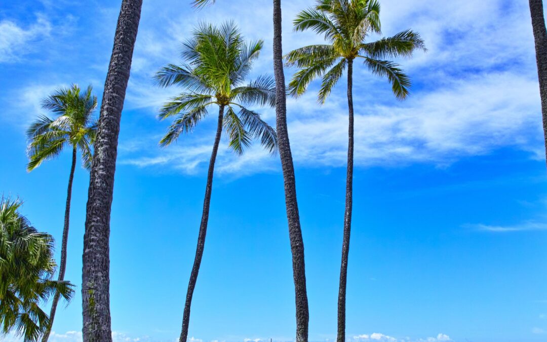 Catching Crabs and Kayaking in Rockport Bay